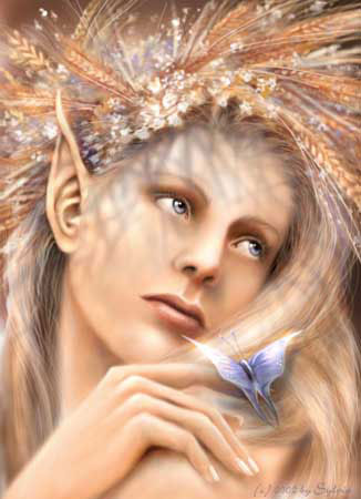 Bonjour tout le monde